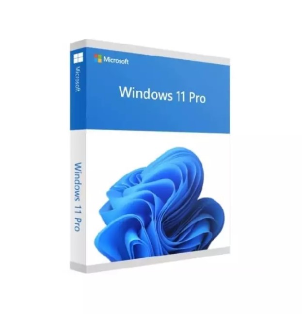 MICROSOFT WINDOWS 11 PROFESSIONAL 64 BIT ENG INTL 1PK DSP OEI DVD